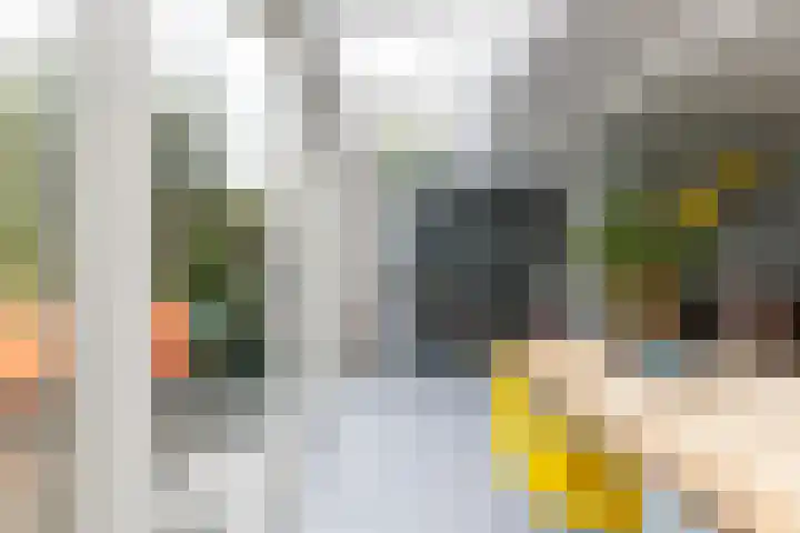 Harpoenier 48 Landsmeer thumbnail 16