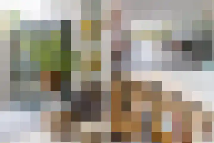 Harpoenier 48 Landsmeer thumbnail 17