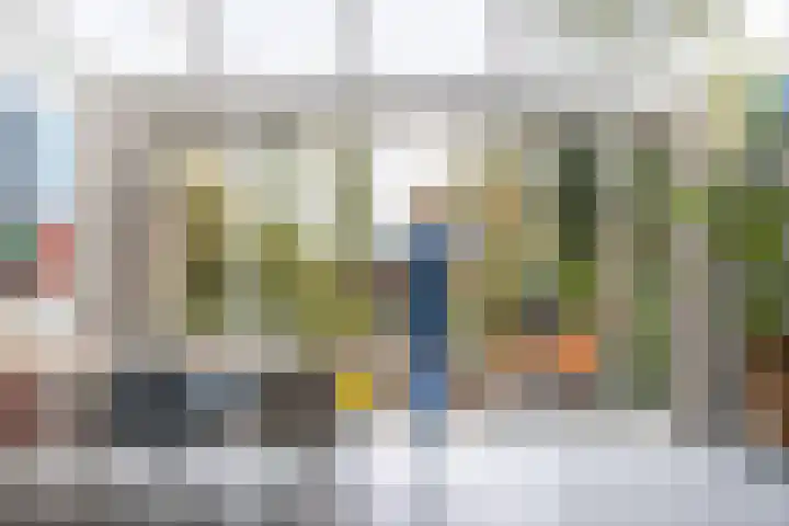 Harpoenier 48 Landsmeer thumbnail 18