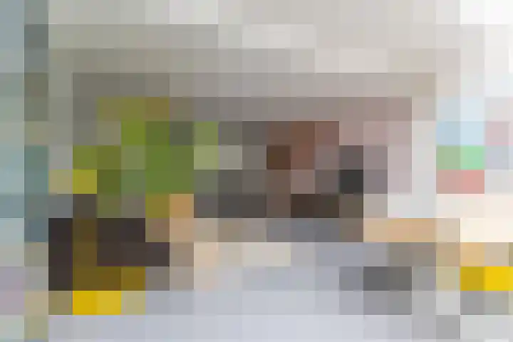 Harpoenier 48 Landsmeer thumbnail 19