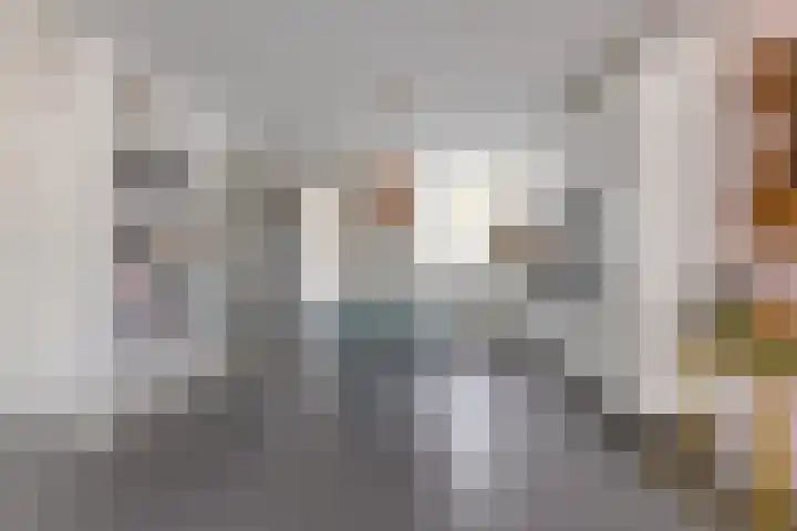 Harpoenier 48 Landsmeer thumbnail 22