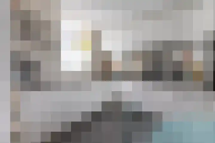 Harpoenier 48 Landsmeer thumbnail 24