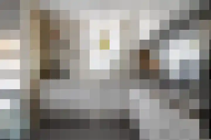 Harpoenier 48 Landsmeer thumbnail 25