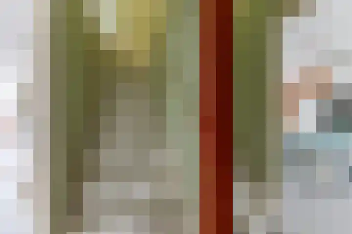Harpoenier 48 Landsmeer thumbnail 28