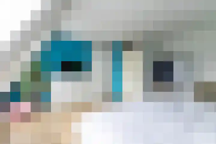 Harpoenier 48 Landsmeer thumbnail 31