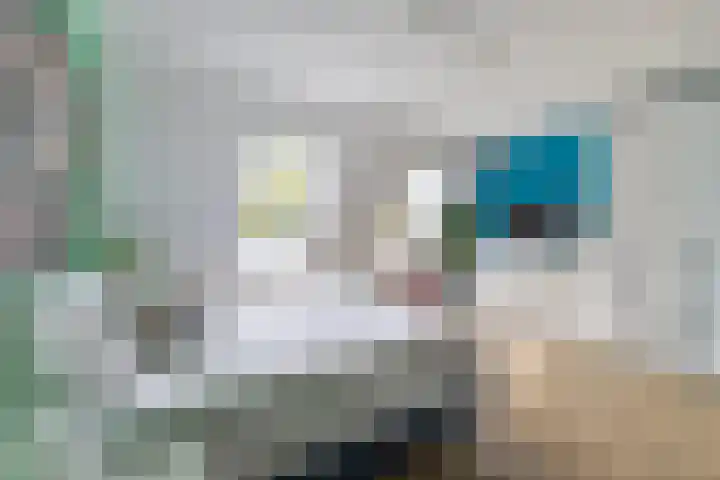 Harpoenier 48 Landsmeer thumbnail 32