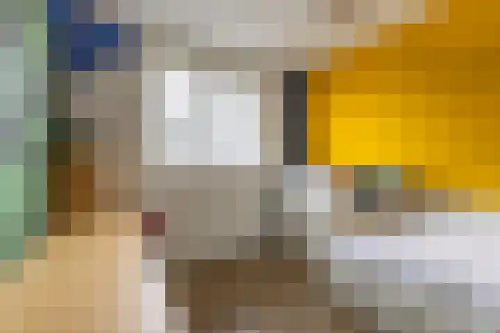Harpoenier 48 Landsmeer thumbnail 33