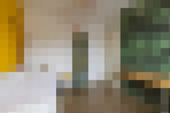 Harpoenier 48 Landsmeer thumbnail 34
