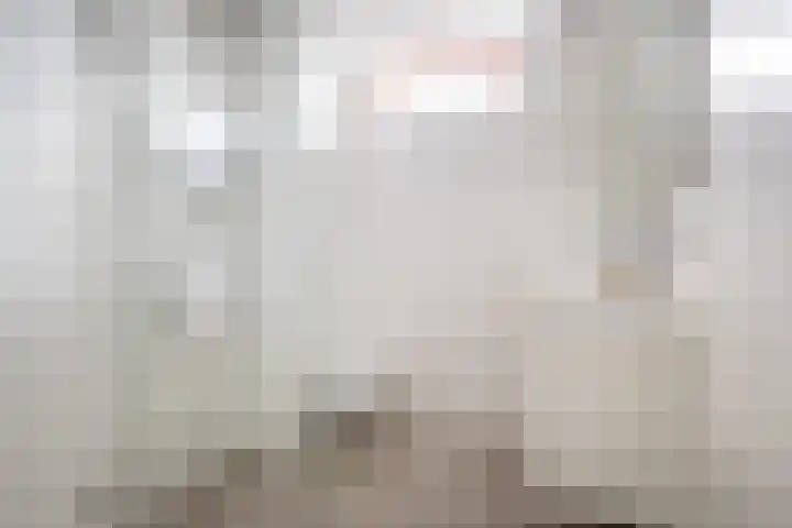 Harpoenier 48 Landsmeer thumbnail 35