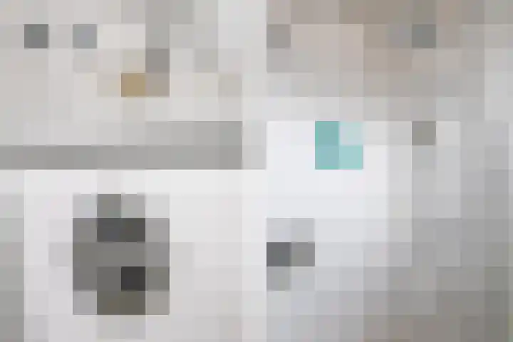 Harpoenier 48 Landsmeer thumbnail 37