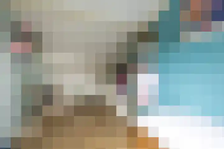 Harpoenier 48 Landsmeer thumbnail 39