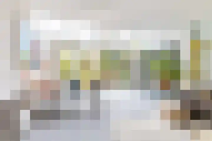 Harpoenier 48 Landsmeer thumbnail 4
