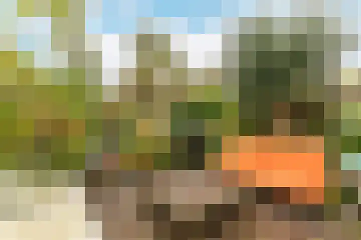 Harpoenier 48 Landsmeer thumbnail 41