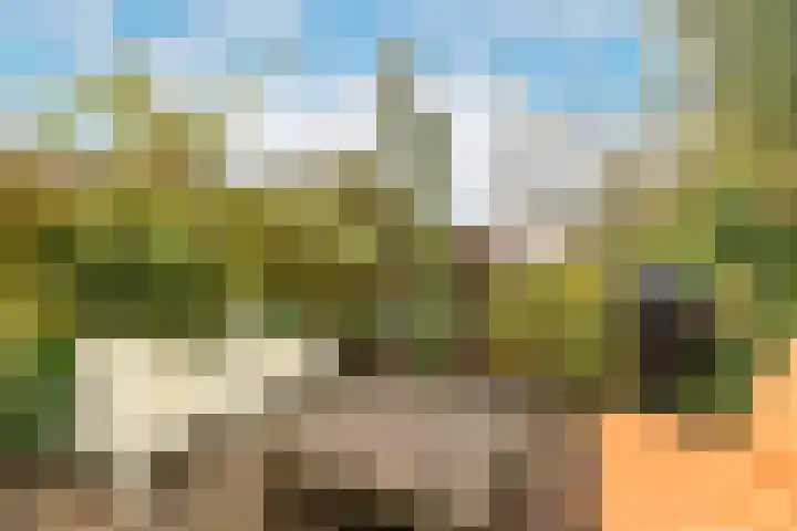 Harpoenier 48 Landsmeer thumbnail 42