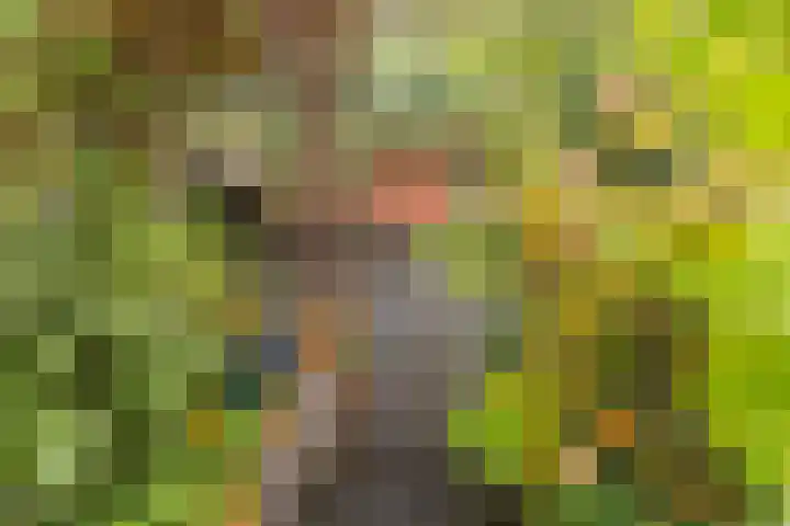 Harpoenier 48 Landsmeer thumbnail 43