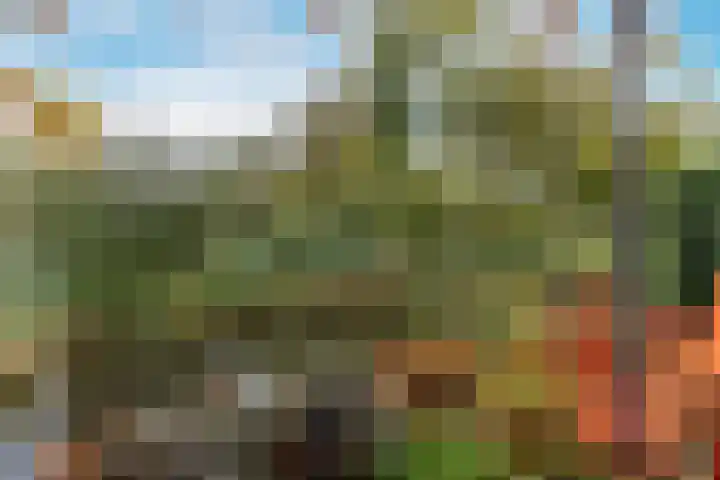 Harpoenier 48 Landsmeer thumbnail 45