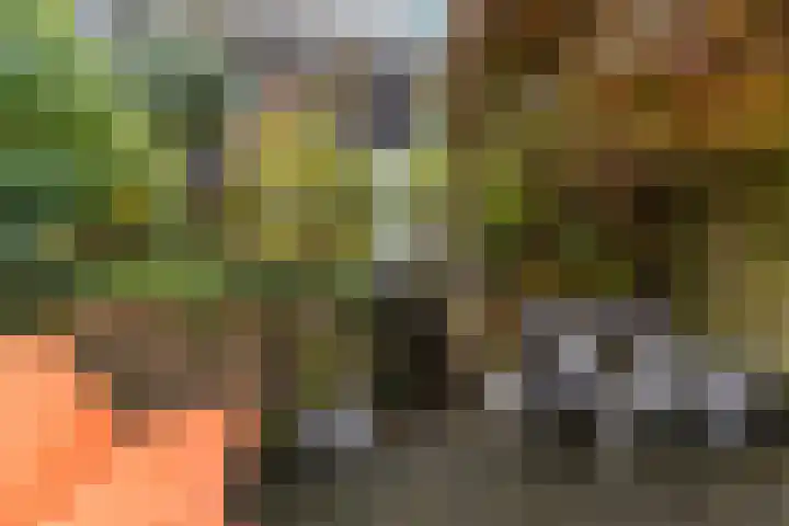Harpoenier 48 Landsmeer thumbnail 46