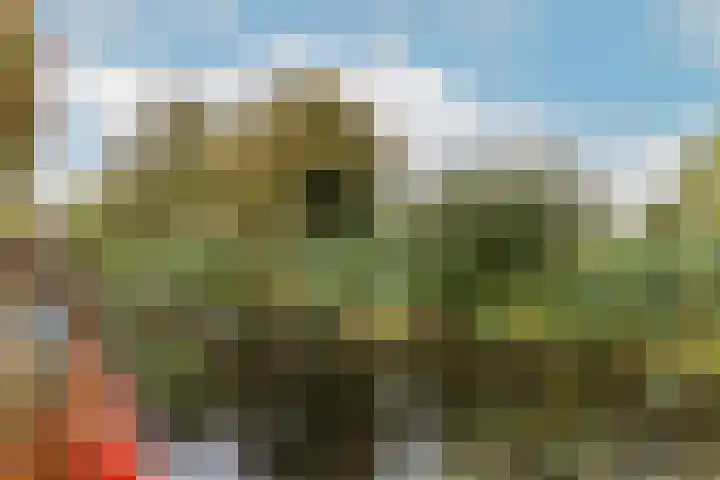 Harpoenier 48 Landsmeer thumbnail 47