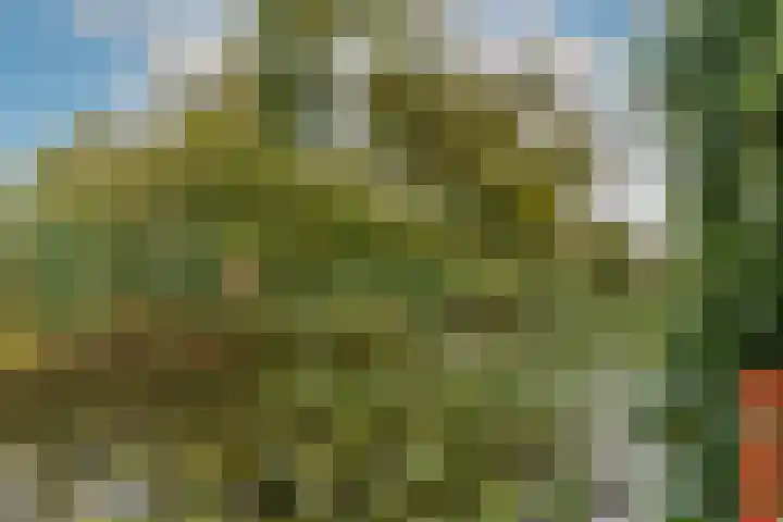 Harpoenier 48 Landsmeer thumbnail 48