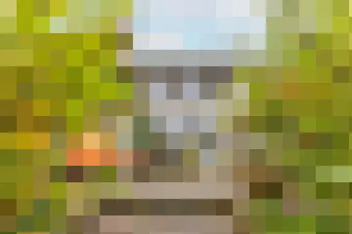 Harpoenier 48 Landsmeer thumbnail 49
