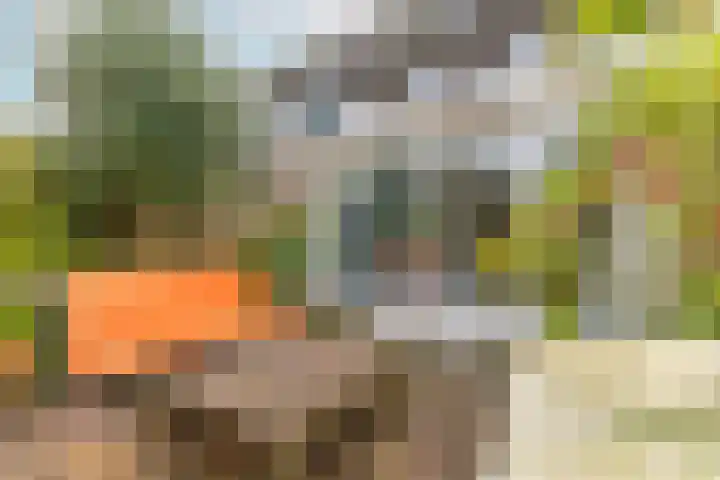 Harpoenier 48 Landsmeer thumbnail 5