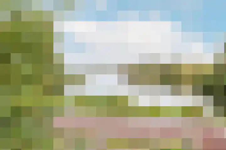 Harpoenier 48 Landsmeer thumbnail 51