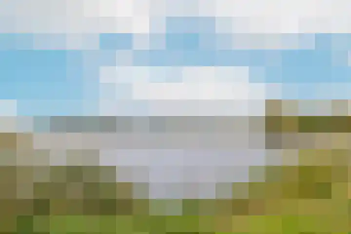 Harpoenier 48 Landsmeer thumbnail 53