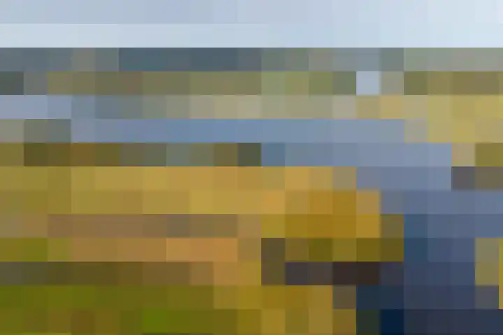 Harpoenier 48 Landsmeer thumbnail 55