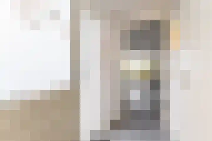 Harpoenier 48 Landsmeer thumbnail 8