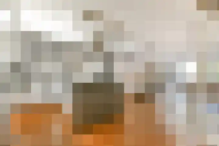 Harpoenier 52 Landsmeer thumbnail 10