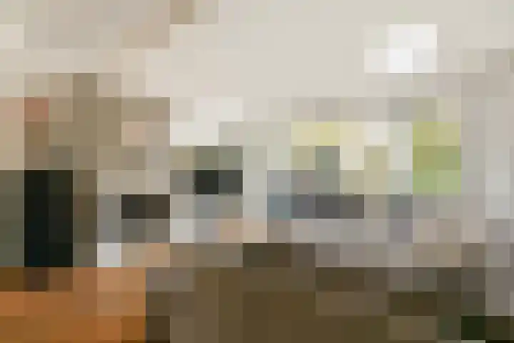 Harpoenier 52 Landsmeer thumbnail 12