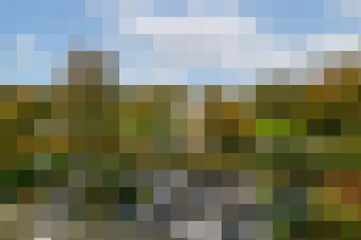 Harpoenier 52 Landsmeer thumbnail 21