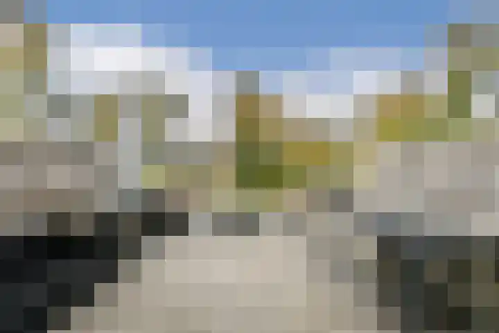 Harpoenier 52 Landsmeer thumbnail 22