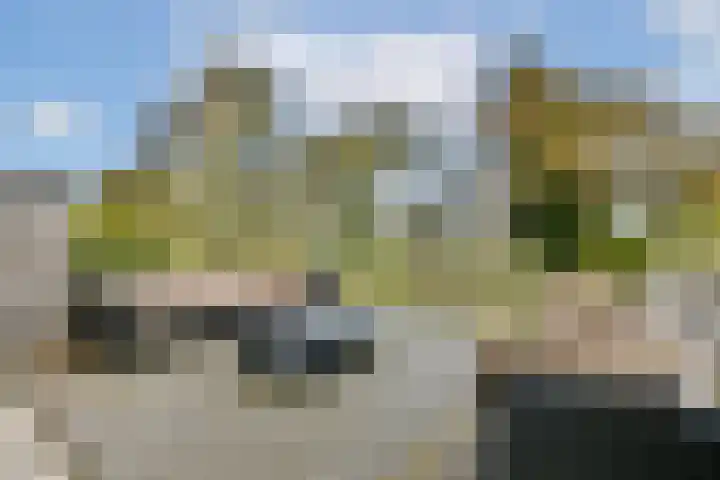 Harpoenier 52 Landsmeer thumbnail 23