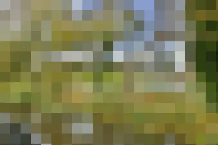 Harpoenier 52 Landsmeer thumbnail 24