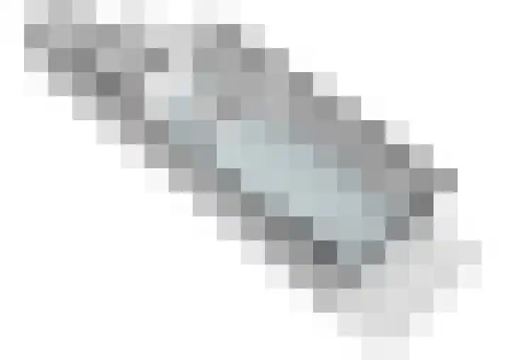 Harpoenier 52 Landsmeer thumbnail 32