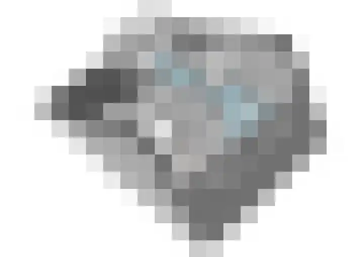 Harpoenier 52 Landsmeer thumbnail 37