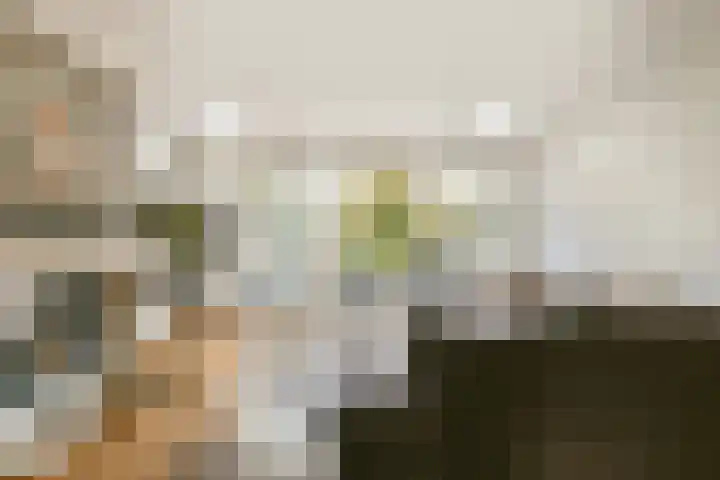 Harpoenier 52 Landsmeer thumbnail 4