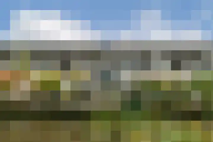 Harpoenier 52 Landsmeer thumbnail 5