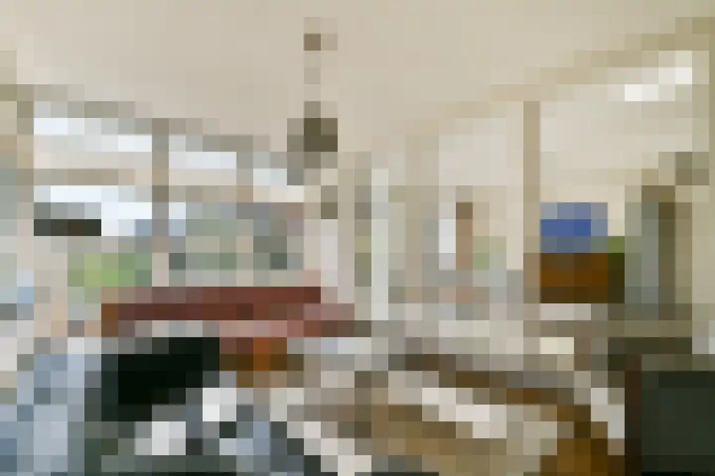 Harpoenier 70 Landsmeer thumbnail 10