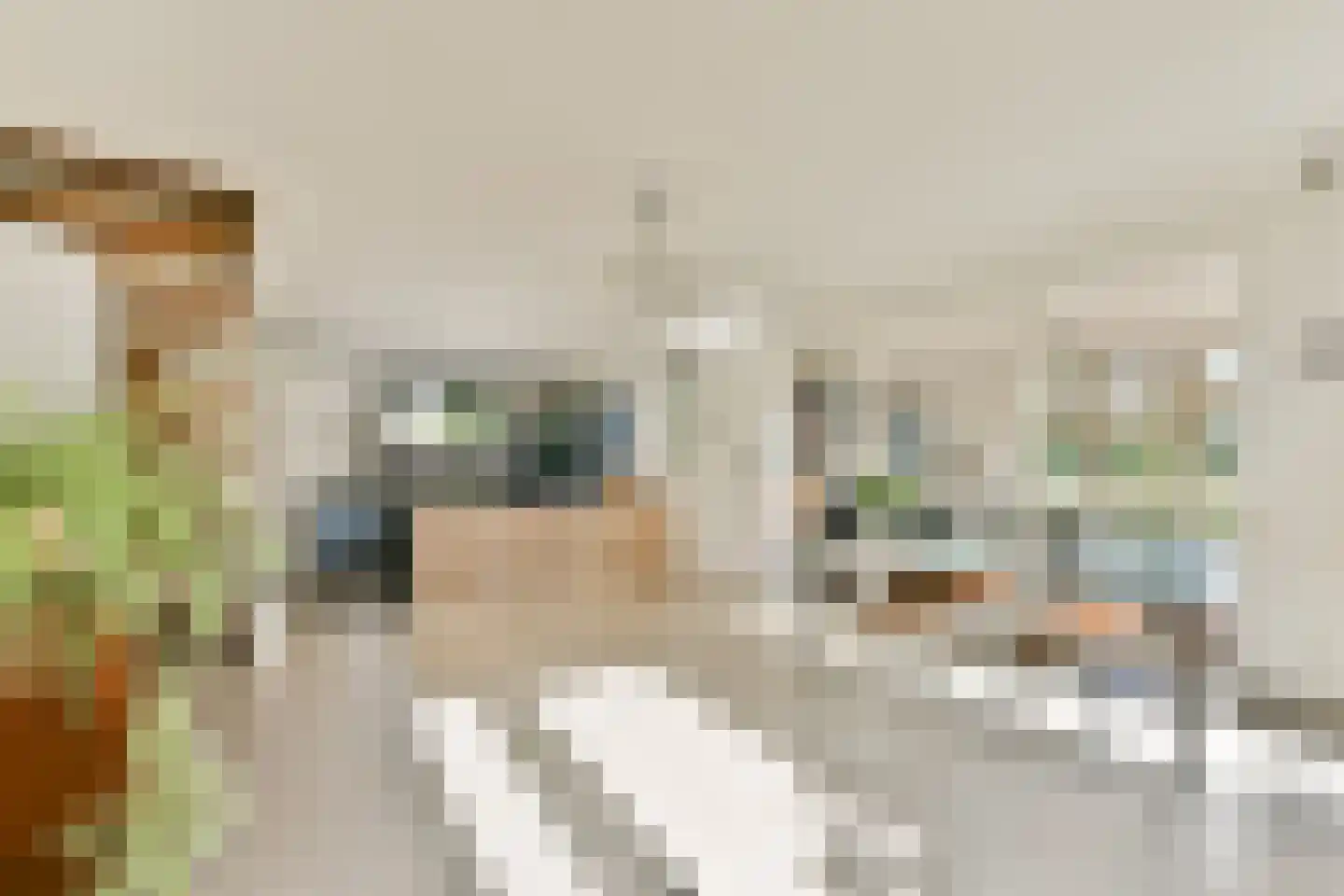 Harpoenier 70 Landsmeer thumbnail 11