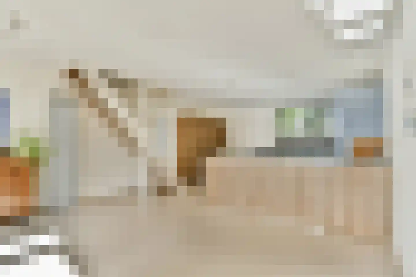 Harpoenier 70 Landsmeer thumbnail 12