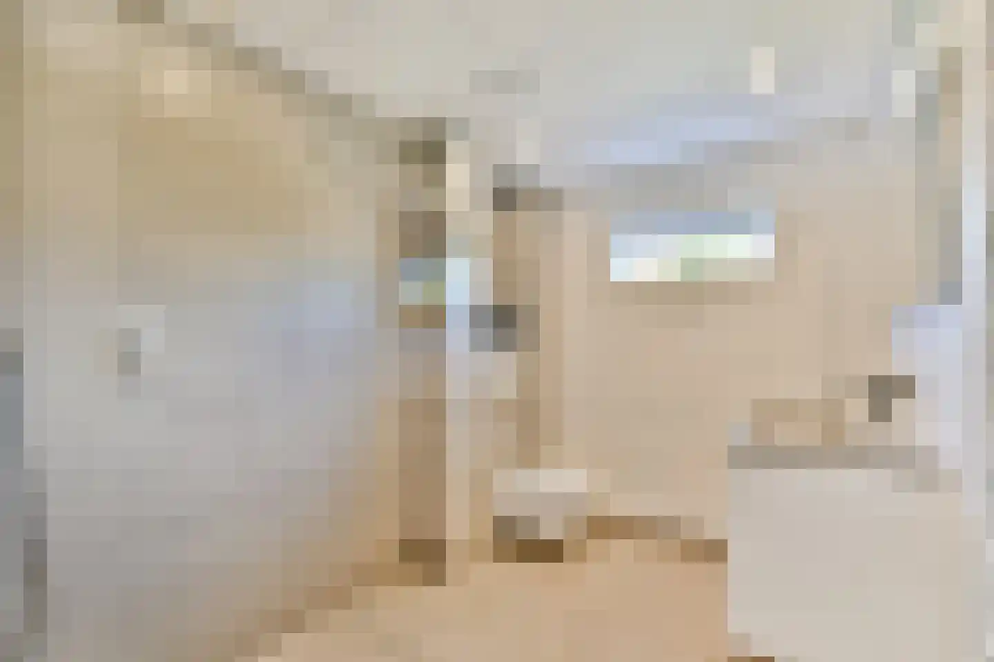 Harpoenier 70 Landsmeer thumbnail 17