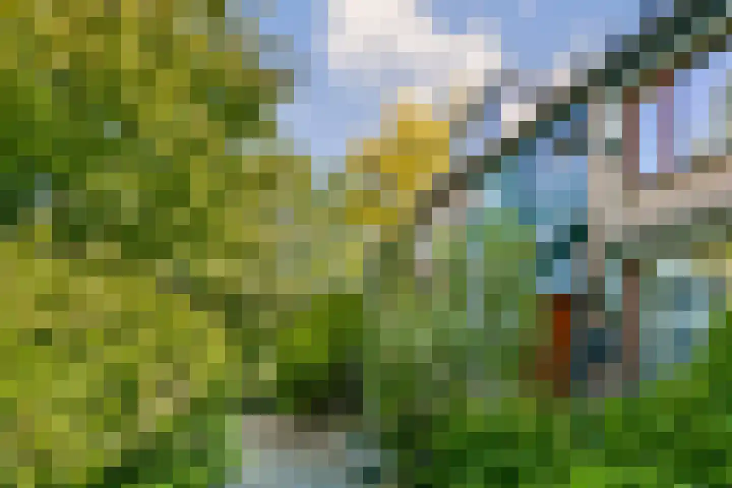 Harpoenier 70 Landsmeer thumbnail 25