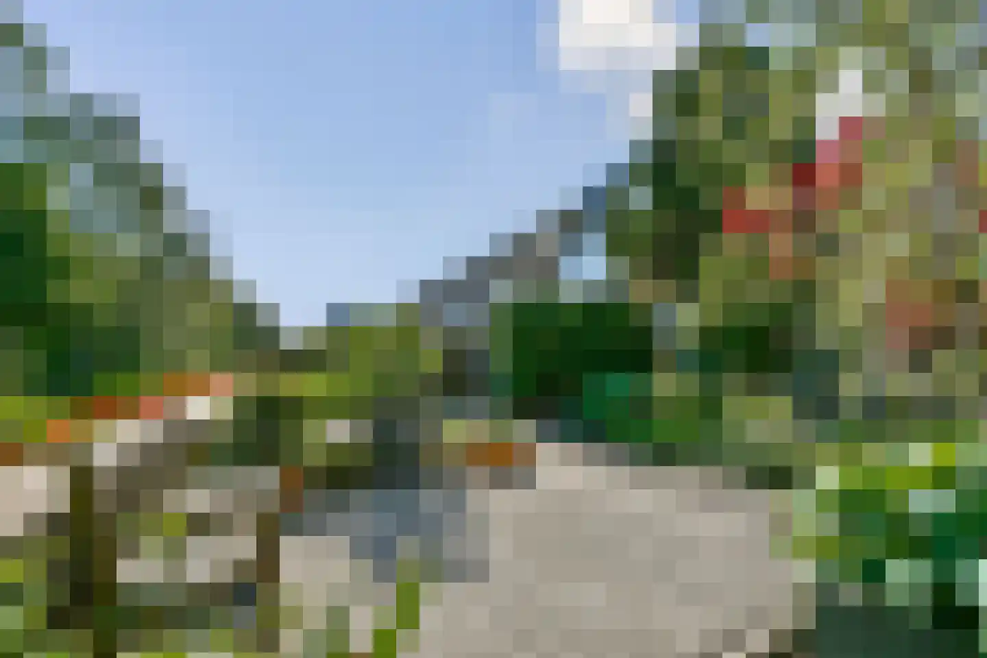 Harpoenier 70 Landsmeer thumbnail 26