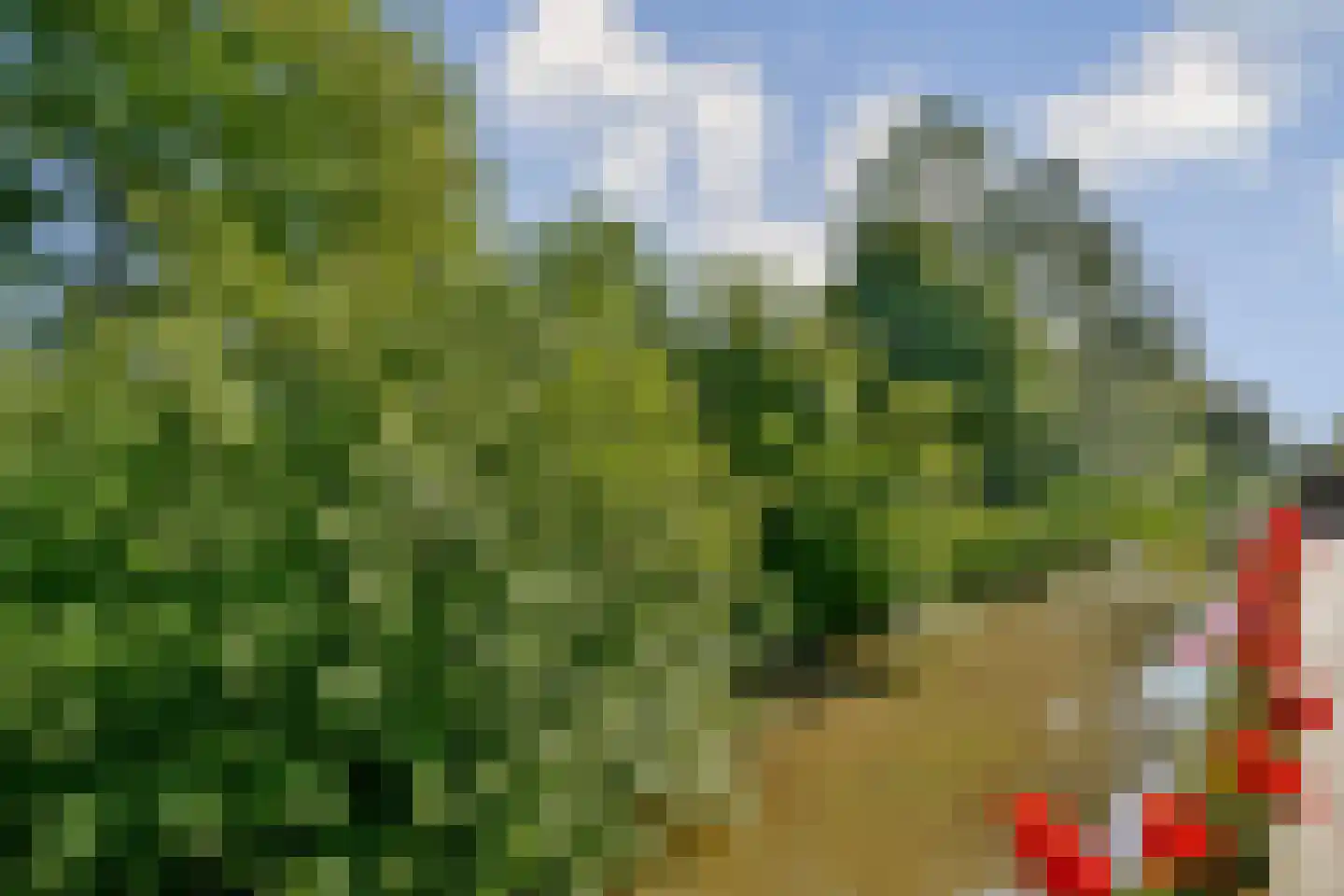 Harpoenier 70 Landsmeer thumbnail 27