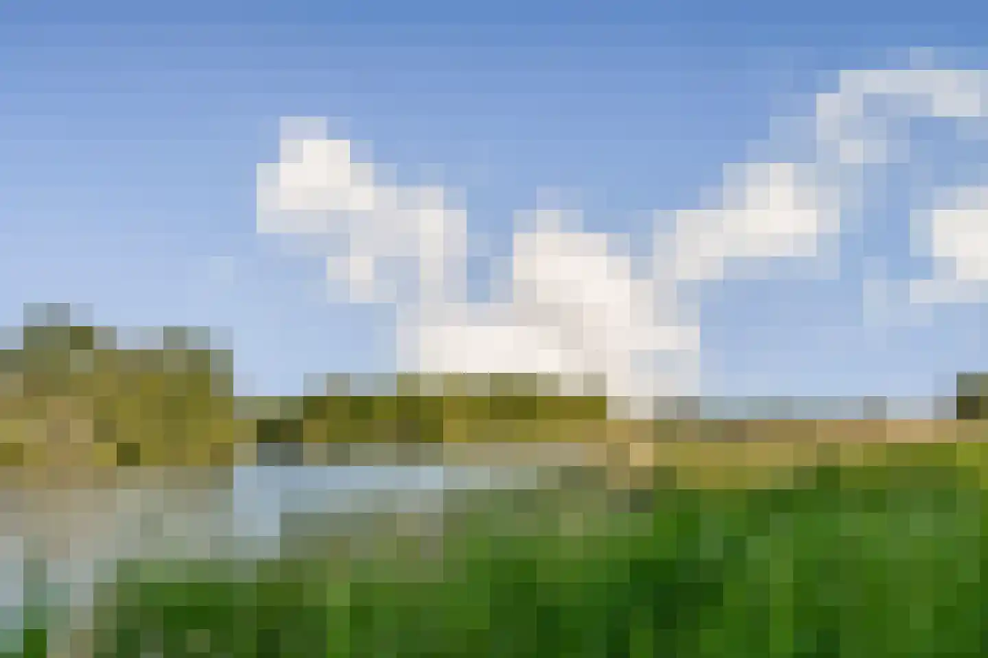 Harpoenier 70 Landsmeer thumbnail 31