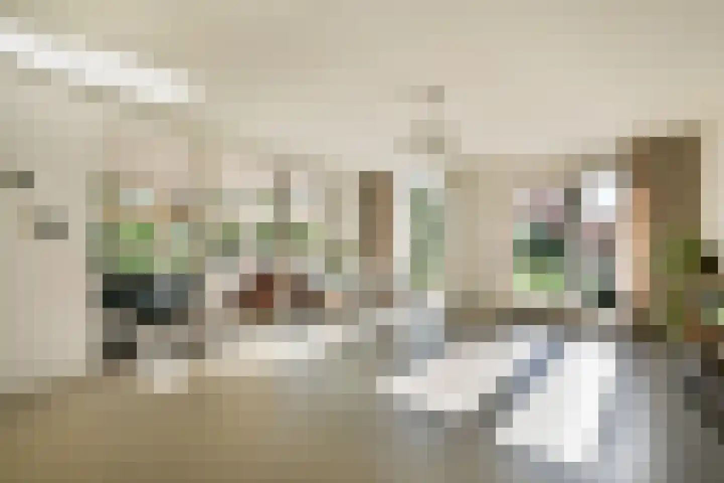 Harpoenier 70 Landsmeer thumbnail 7