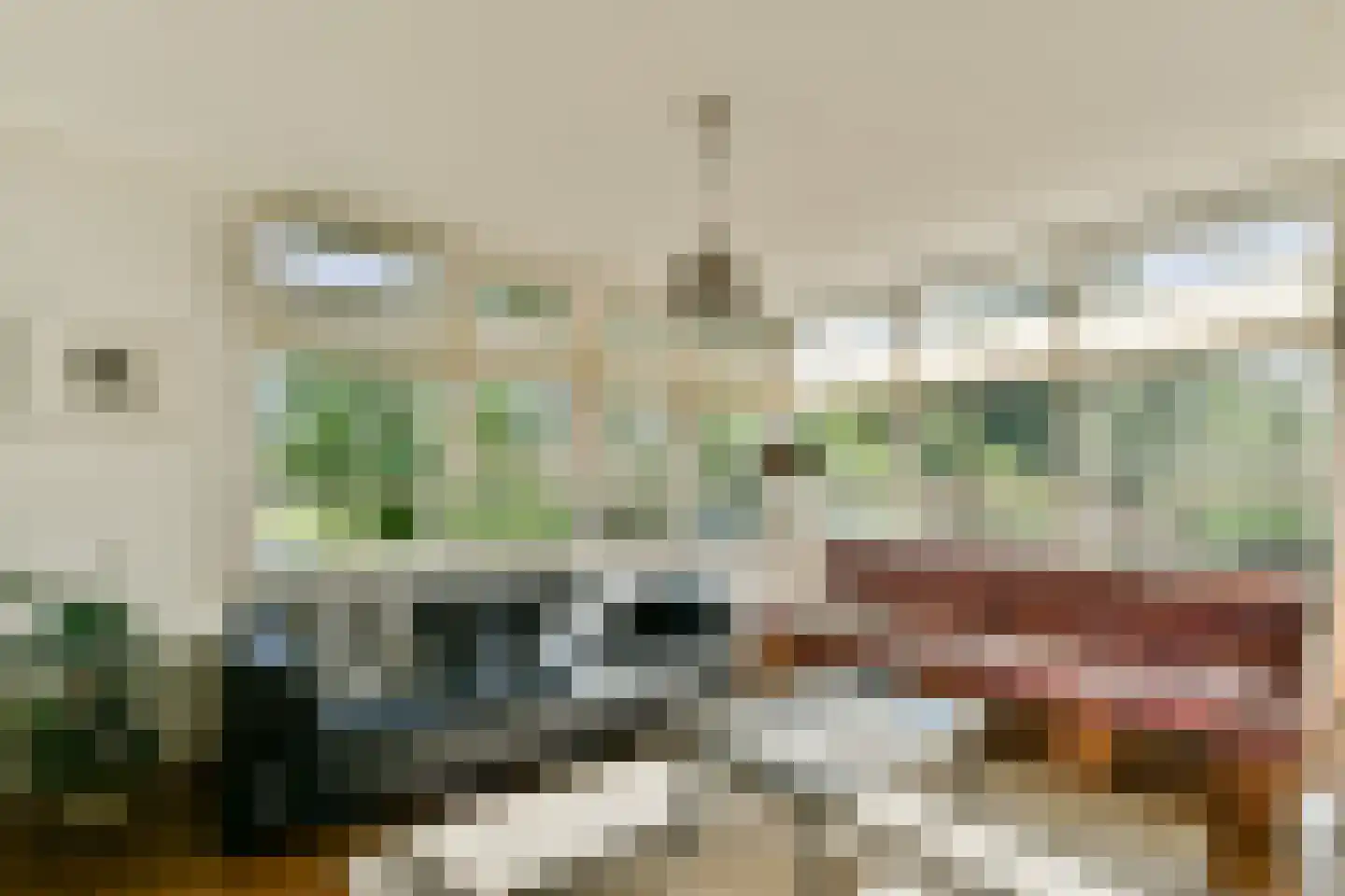 Harpoenier 70 Landsmeer thumbnail 8
