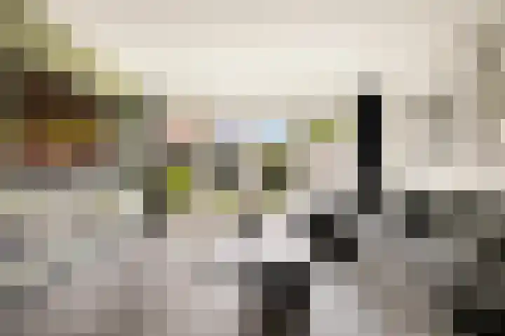 Harpoenier 74 Landsmeer thumbnail 10